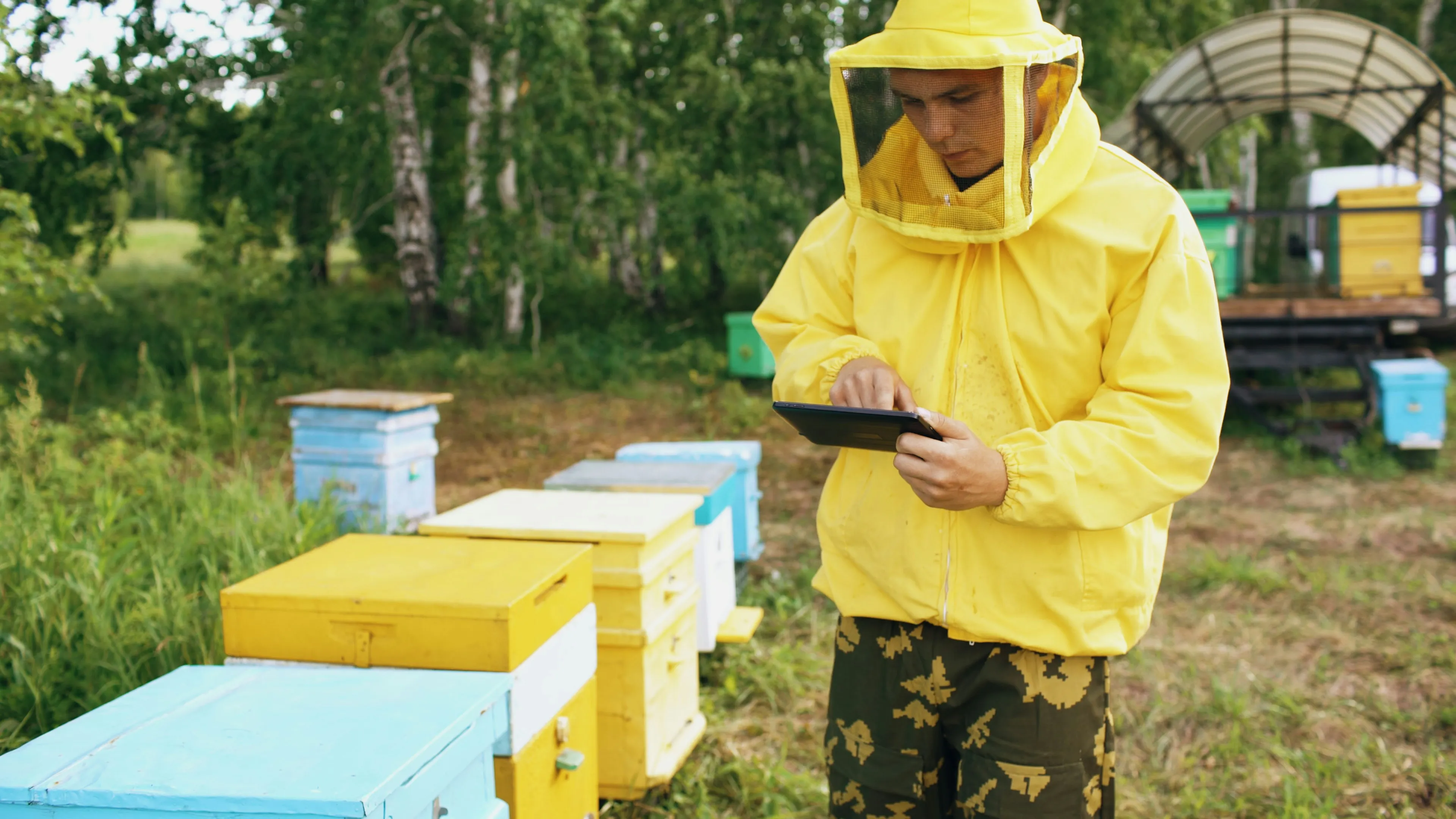 Beekeeper using a tablet computer to check beehives in an apiary