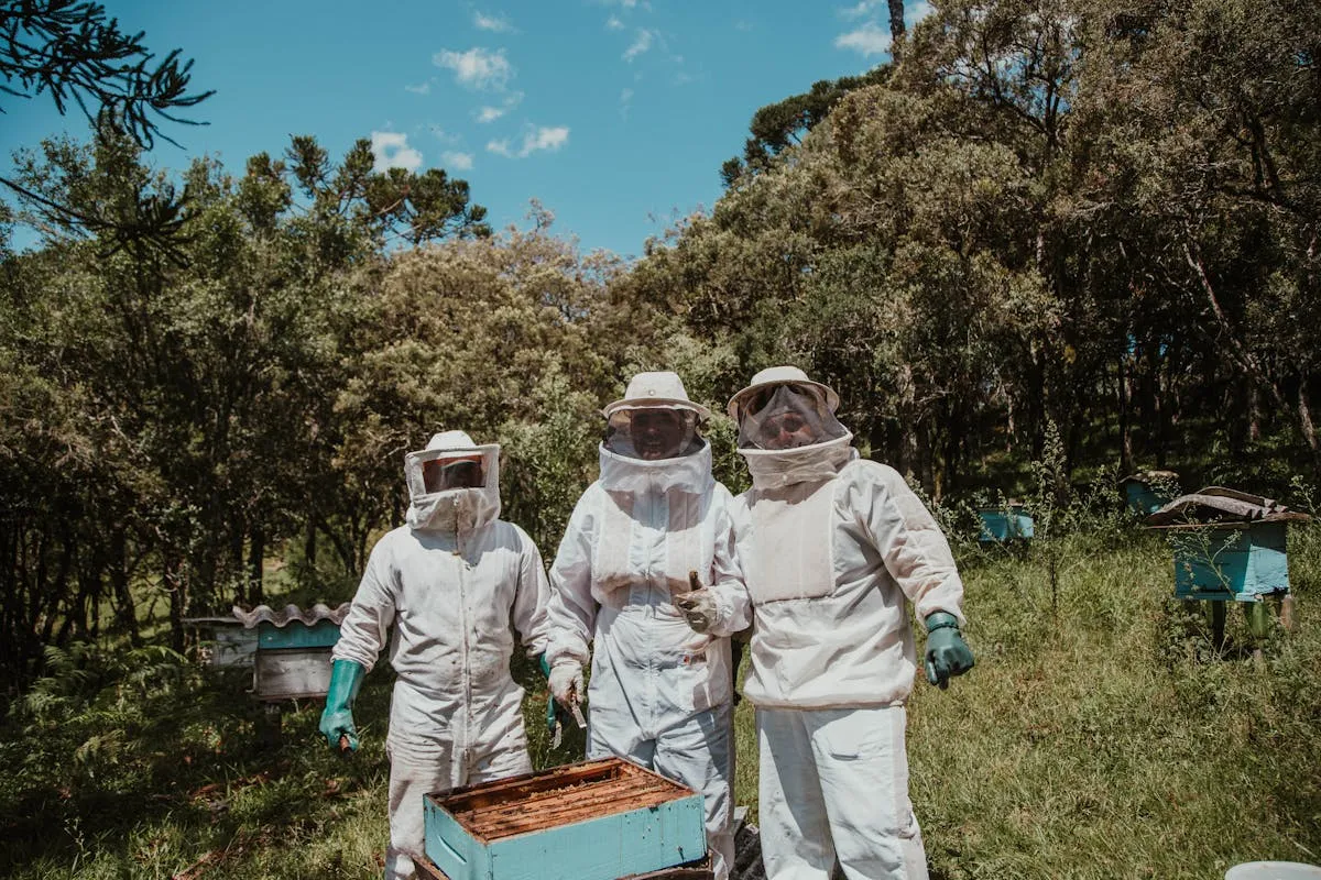 Three beekeepers in protective suits standing together at an apiary